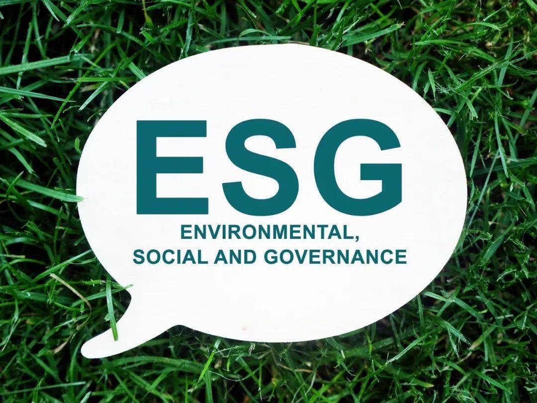 ESG（环境、社会、治理）